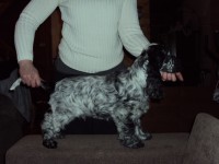 /album/ilpo/a31-03-12-012-jpg/